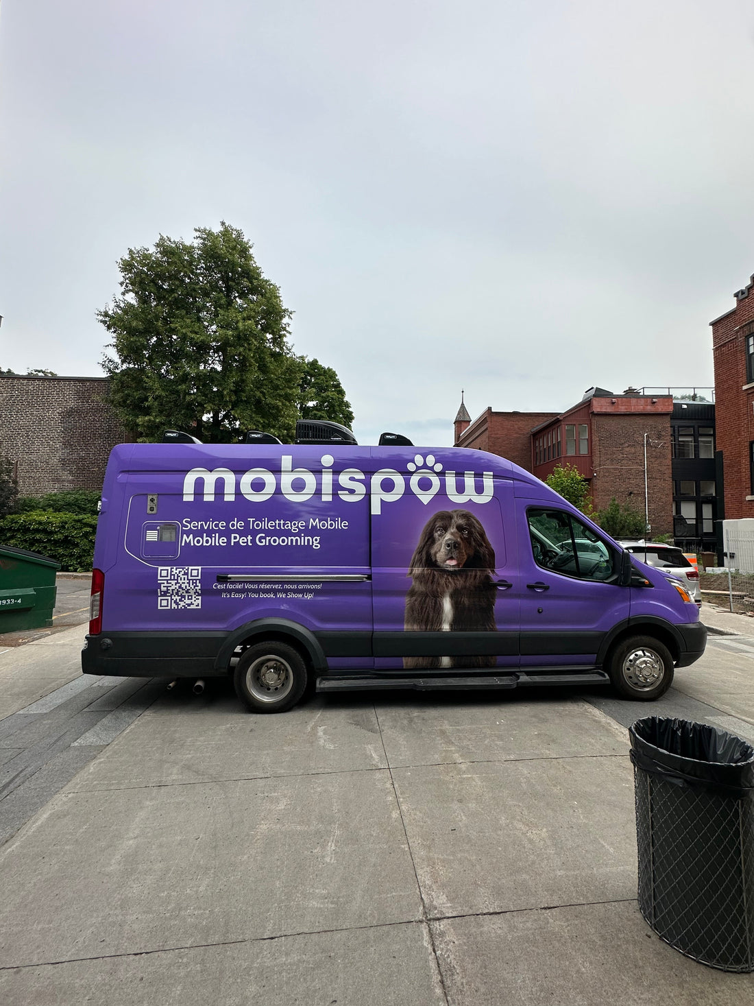 5 Reasons to Choose Mobile Pet Grooming in Montreal Over a Grooming Salon