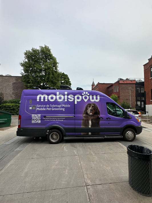 5 Reasons to Choose Mobile Pet Grooming in Montreal Over a Grooming Salon