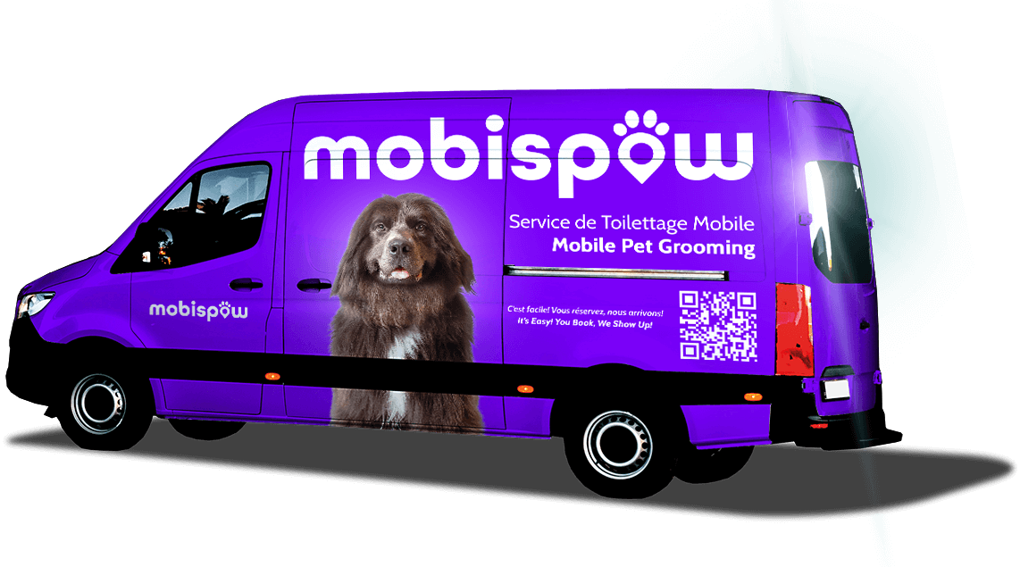 Mobispaw truck