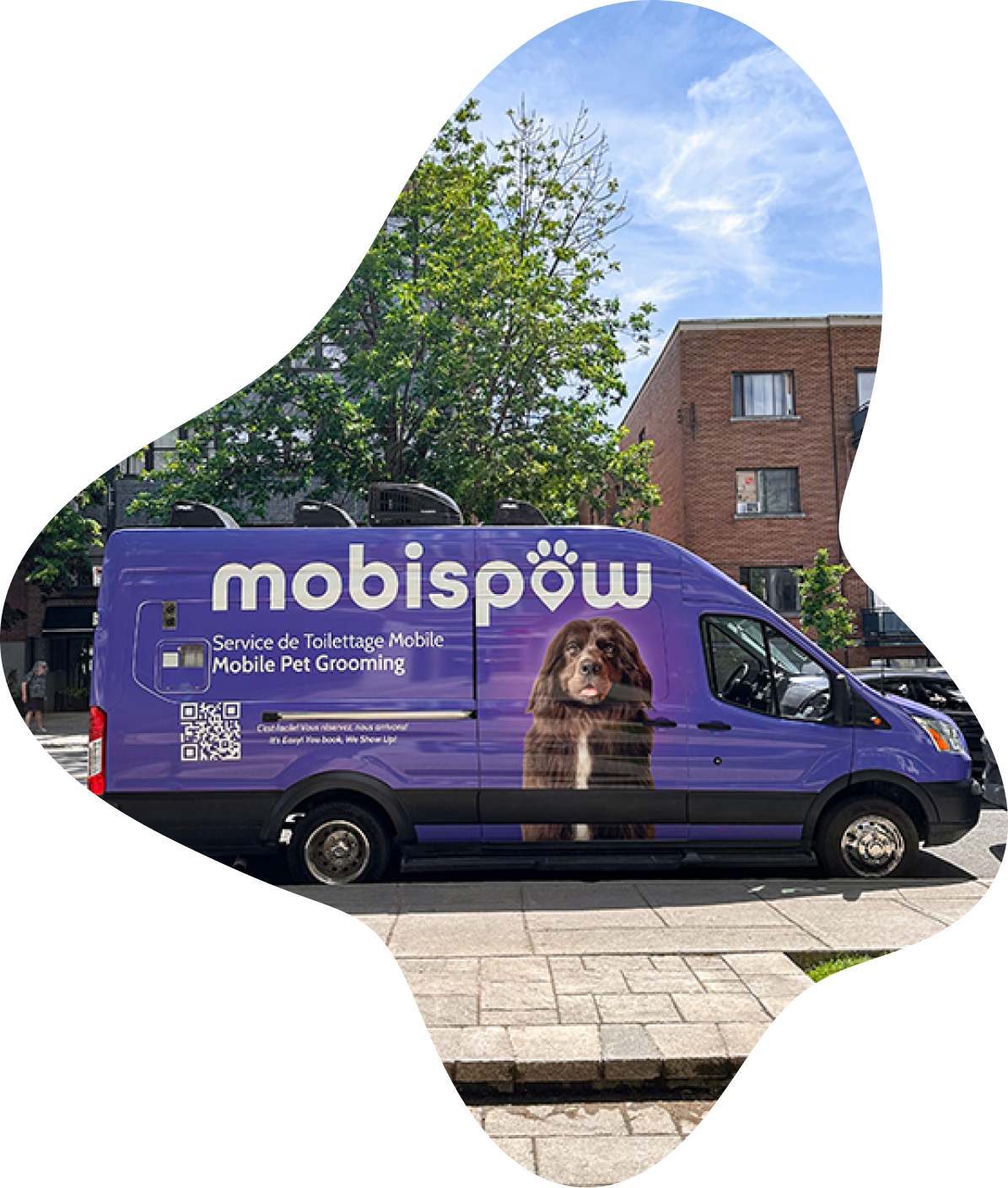 Mobispaw truck