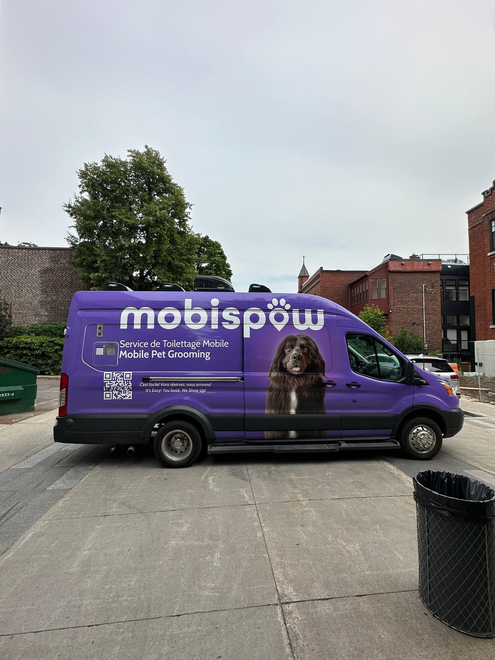 5 Reasons to Choose Mobile Pet Grooming in Montreal Over a Grooming Salon